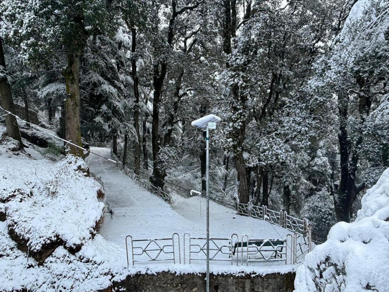 Hotel Jakhu Heights Σίμλα Εξωτερικό φωτογραφία