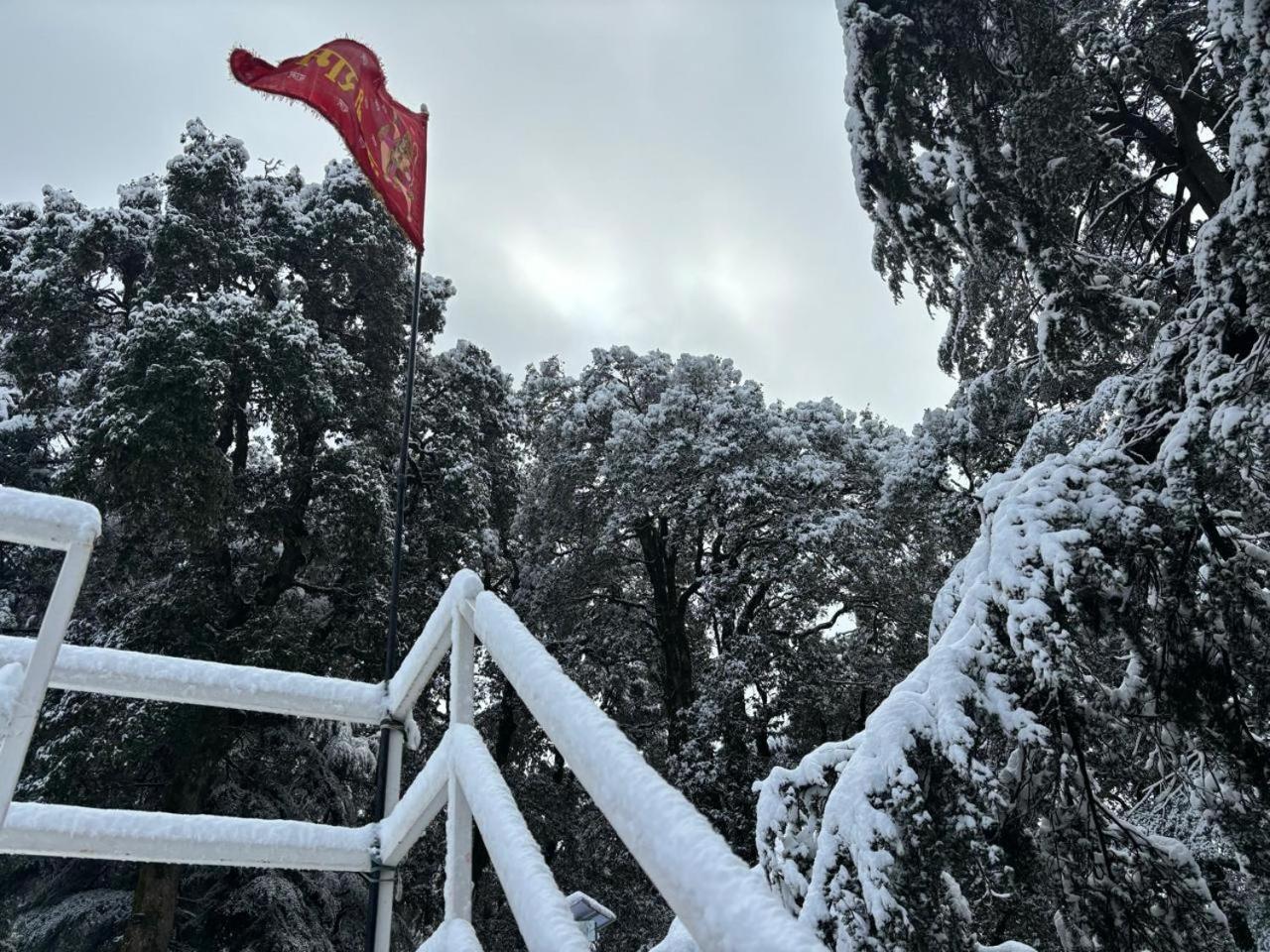 Hotel Jakhu Heights Σίμλα Εξωτερικό φωτογραφία