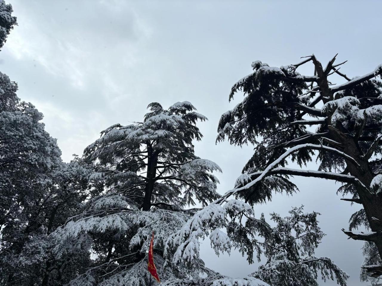 Hotel Jakhu Heights Σίμλα Εξωτερικό φωτογραφία